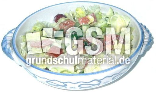 Salat-gemischt2.jpg